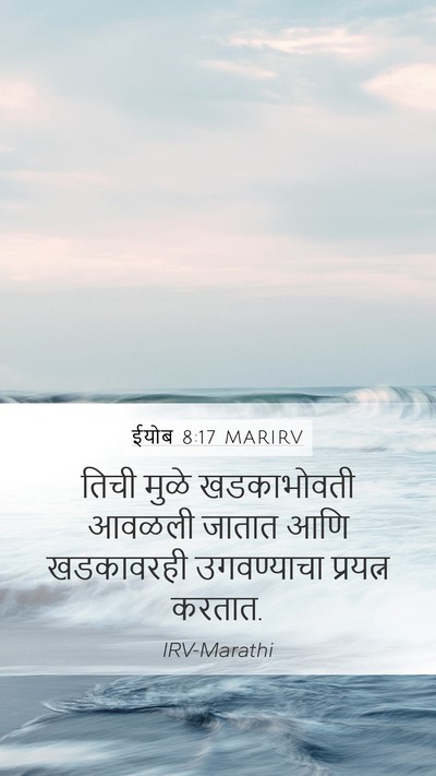 ईयोब 8:17 MARIRV Mobile Phone Wallpaper - तिची मुळे - Mobile Bible Verse Wallpaper