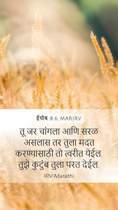 ईयोब 8:6 MARIRV Bible Verse Image