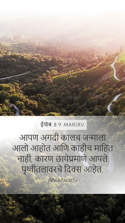 ईयोब 8:9 MARIRV Bible Verse Image