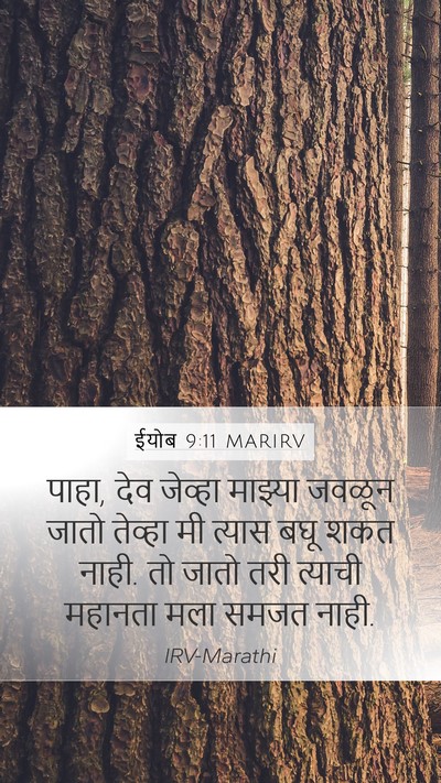 ईयोब 9:11 MARIRV Bible Verse Image
