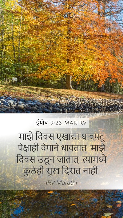ईयोब 9:25 MARIRV Bible Verse Image