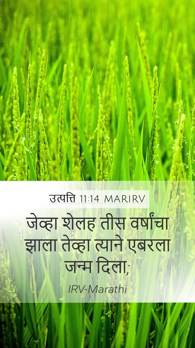 उत्पत्ति 11:14 MARIRV Mobile Phone Wallpaper - जेव्हा शेलह तीस - Mobile Bible Verse Wallpaper