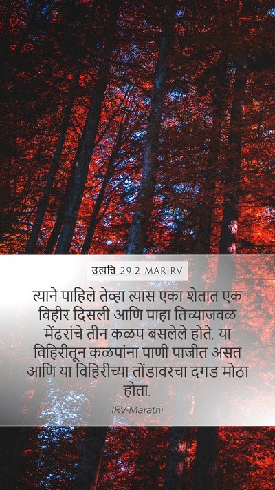 उत्पत्ति 29:2 MARIRV Mobile Phone Wallpaper - त्याने पाहिले - Mobile Bible Verse Wallpaper
