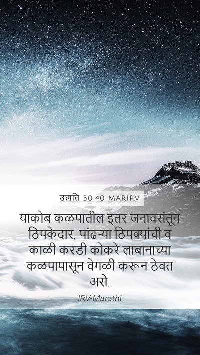 उत्पत्ति 30:40 MARIRV Mobile Phone Wallpaper - याकोब कळपातील इतर - Mobile Bible Verse Wallpaper