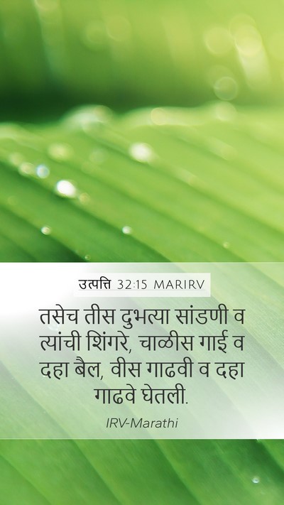 उत्पत्ति 32:15 MARIRV Mobile Phone Wallpaper - तसेच तीस दुभत्या - Mobile Bible Verse Wallpaper