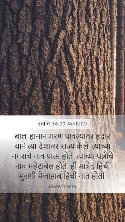 उत्पत्ति 36:39 MARIRV Mobile Phone Wallpaper - बाल-हानान मरण - Mobile Bible Verse Wallpaper