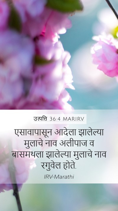 उत्पत्ति 36:4 MARIRV Mobile Phone Wallpaper - एसावापासून आदेला - Mobile Bible Verse Wallpaper