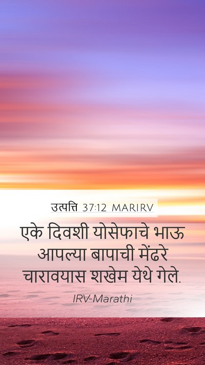 उत्पत्ति 37:12 MARIRV Bible Verse Image