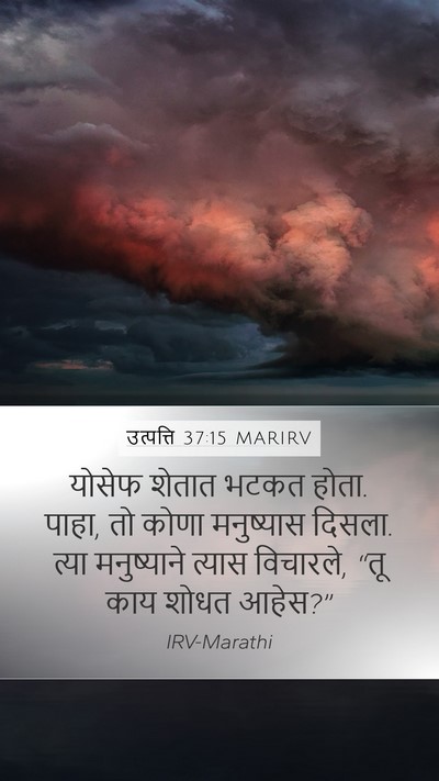 उत्पत्ति 37:15 MARIRV Mobile Phone Wallpaper - योसेफ शेतात भटकत - Mobile Bible Verse Wallpaper