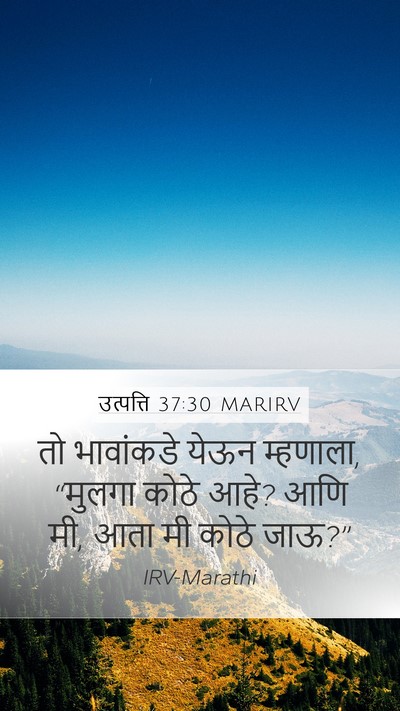 उत्पत्ति 37:30 MARIRV Bible Verse Image