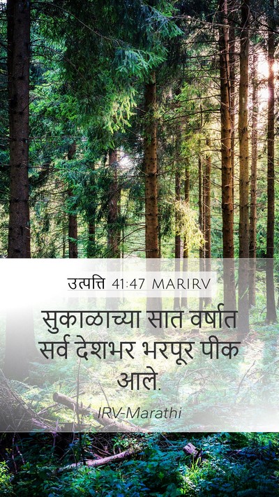 उत्पत्ति 41:47 MARIRV Bible Verse Image