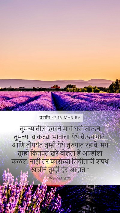 उत्पत्ति 42:16 MARIRV Bible Verse Image