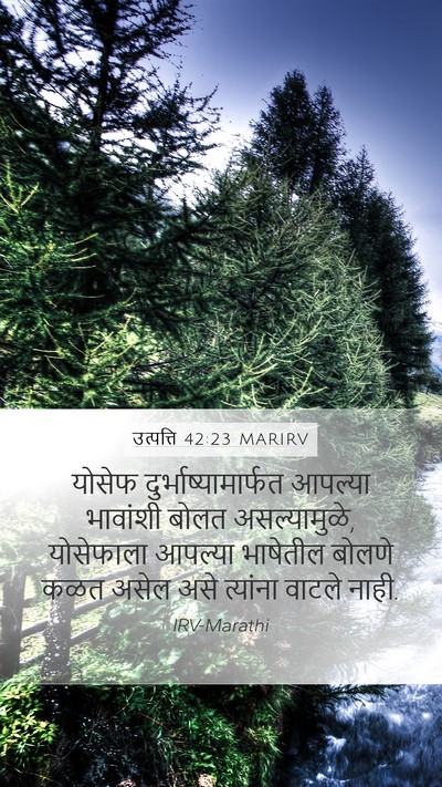 उत्पत्ति 42:23 MARIRV Bible Verse Image
