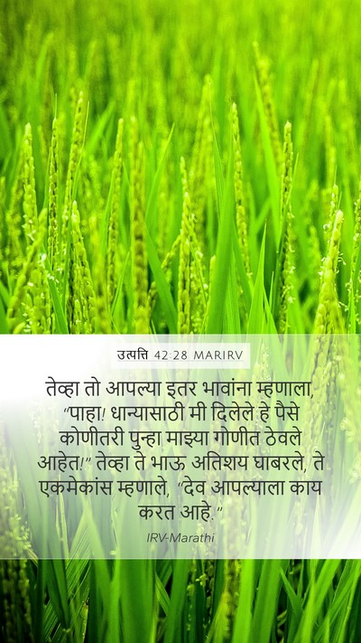 उत्पत्ति 42:28 MARIRV Bible Verse Image