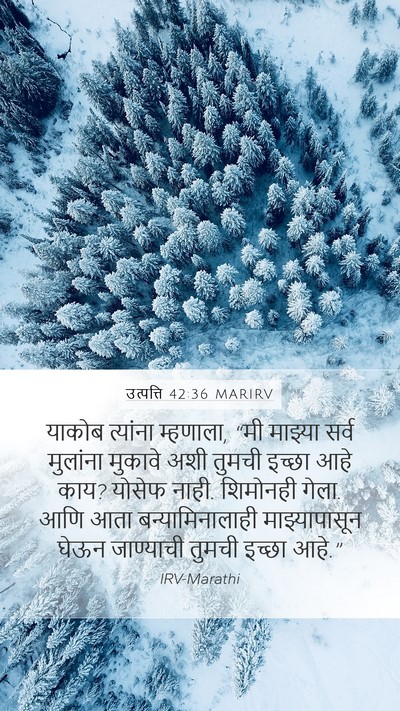 उत्पत्ति 42:36 MARIRV Bible Verse Image