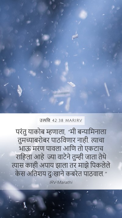 उत्पत्ति 42:38 MARIRV Bible Verse Image