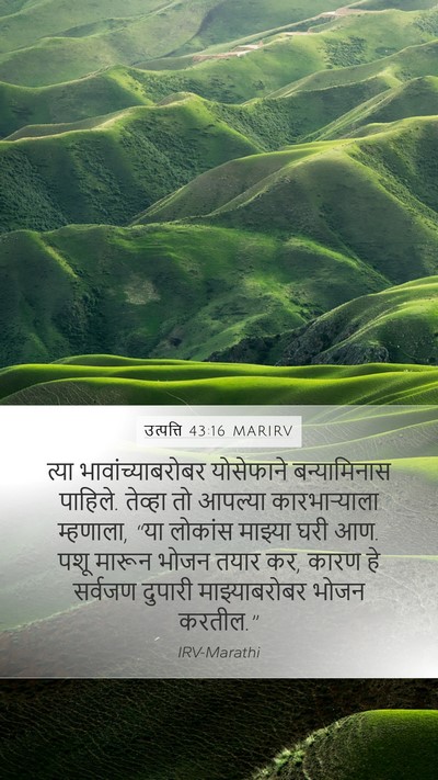 उत्पत्ति 43:16 MARIRV Bible Verse Image
