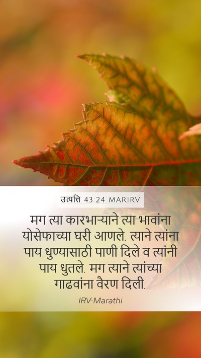 उत्पत्ति 43:24 MARIRV Bible Verse Image