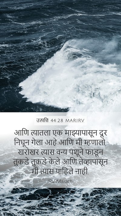 उत्पत्ति 44:28 MARIRV Bible Verse Image