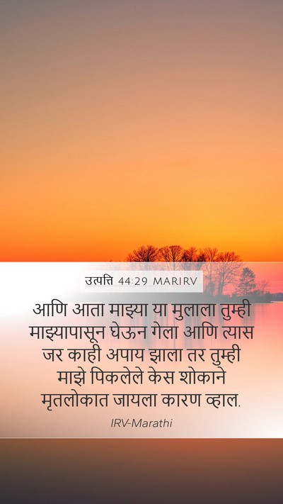 उत्पत्ति 44:29 MARIRV Bible Verse Image