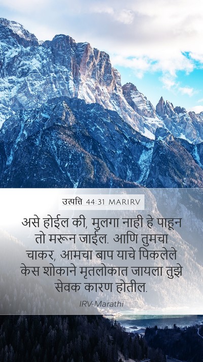 उत्पत्ति 44:31 MARIRV Bible Verse Image