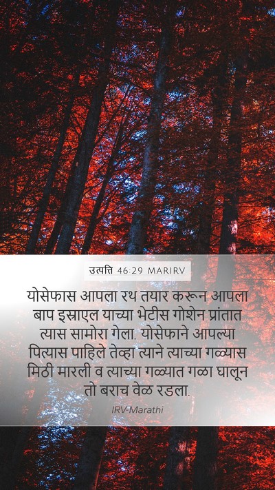 उत्पत्ति 46:29 MARIRV Bible Verse Image