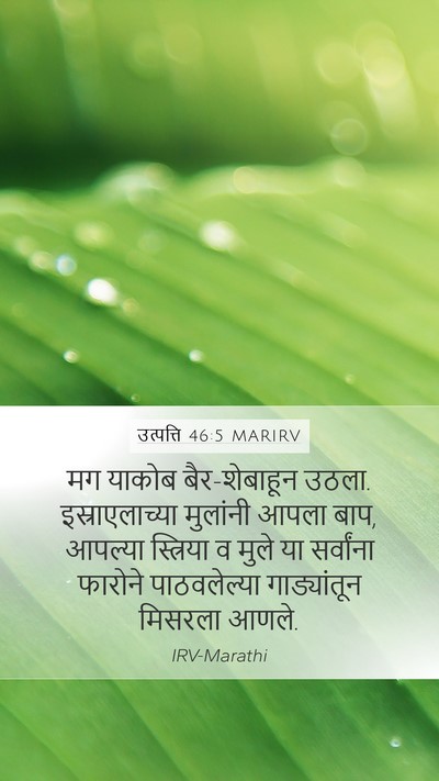 उत्पत्ति 46:5 MARIRV Bible Verse Image