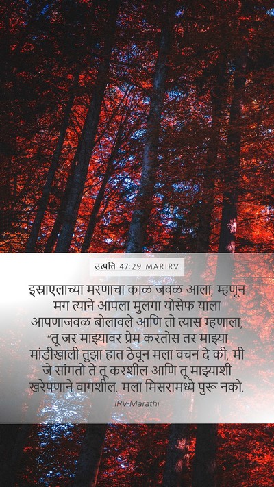 उत्पत्ति 47:29 MARIRV Bible Verse Image