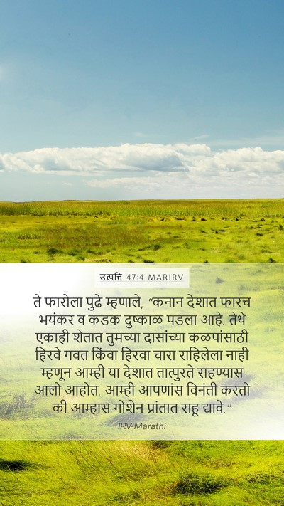 उत्पत्ति 47:4 MARIRV Mobile Phone Wallpaper - ते फारोला पुढे - Mobile Bible Verse Wallpaper