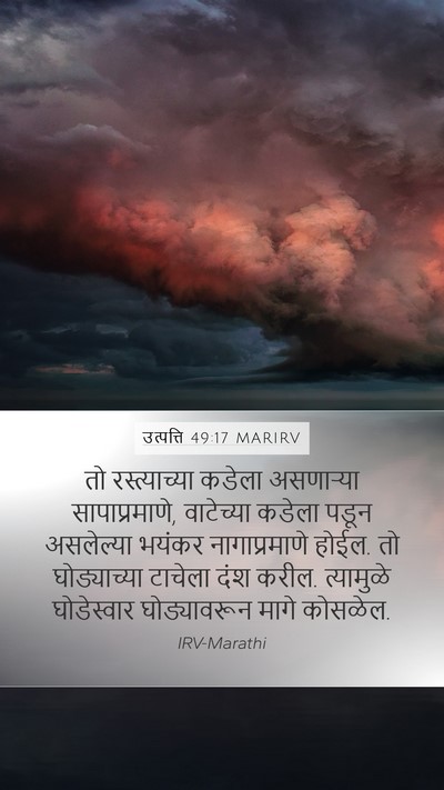 उत्पत्ति 49:17 MARIRV Bible Verse Image