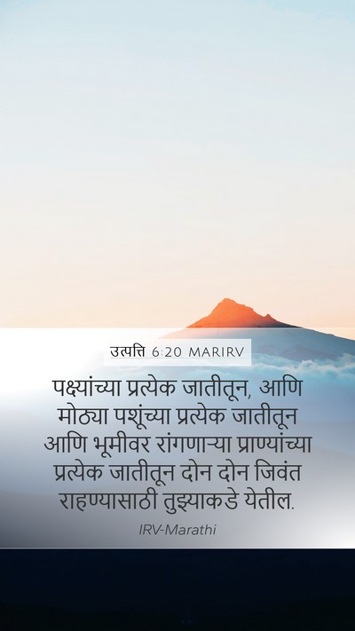 उत्पत्ति 6:20 MARIRV Mobile Phone Wallpaper - पक्ष्यांच्या - Mobile Bible Verse Wallpaper