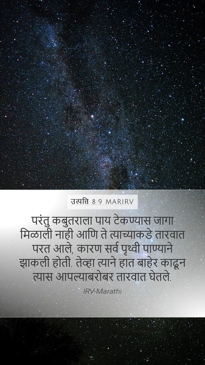 उत्पत्ति 8:9 MARIRV Mobile Phone Wallpaper - परंतु कबुतराला - Mobile Bible Verse Wallpaper