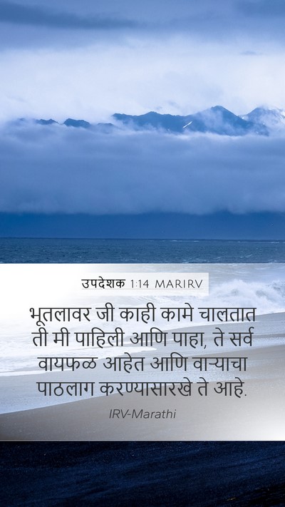 उपदेशक 1:14 MARIRV Bible Verse Image