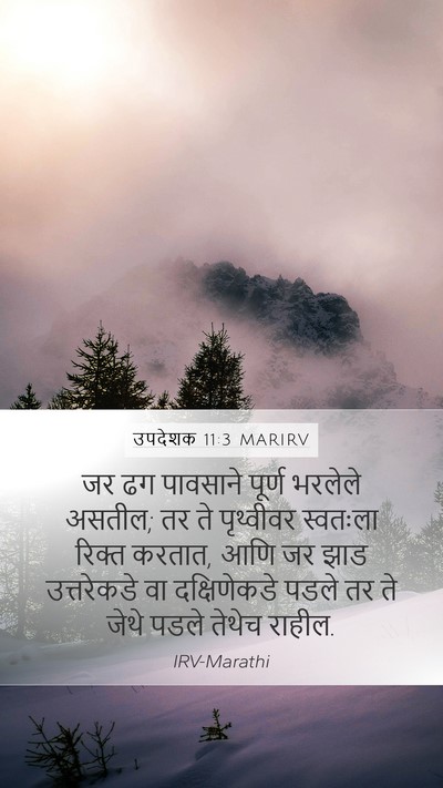 उपदेशक 11:3 MARIRV Bible Verse Image