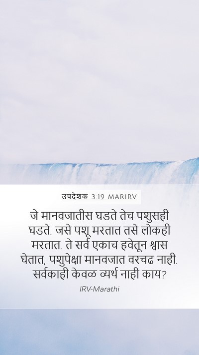 उपदेशक 3:19 MARIRV Bible Verse Image