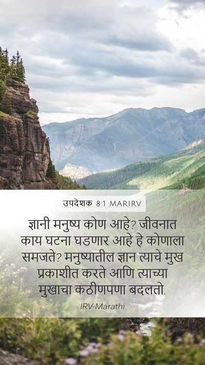 उपदेशक 8:1 MARIRV Mobile Phone Wallpaper - ज्ञानी मनुष्य कोण - Mobile Bible Verse Wallpaper