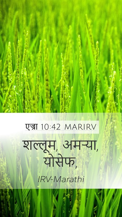 एज्रा 10:42 MARIRV Mobile Phone Wallpaper - शल्लूम, अमऱ्या, - Mobile Bible Verse Wallpaper