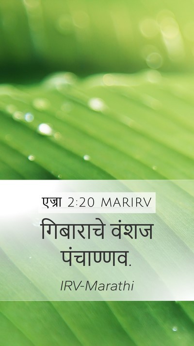 एज्रा 2:20 MARIRV Bible Verse Image