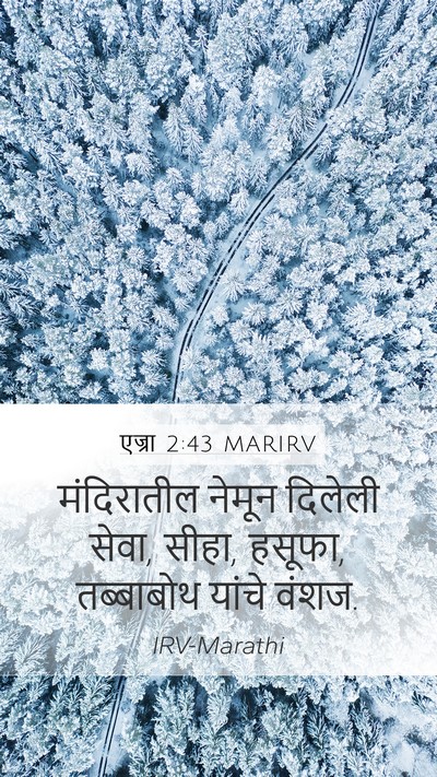 एज्रा 2:43 MARIRV Mobile Phone Wallpaper - मंदिरातील नेमून - Mobile Bible Verse Wallpaper