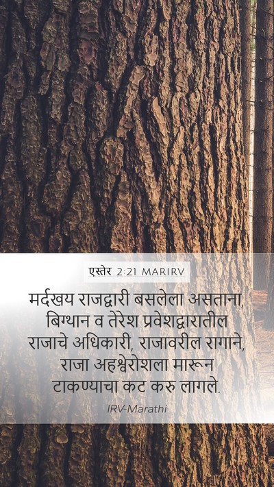 एस्तेर 2:21 MARIRV Bible Verse Image