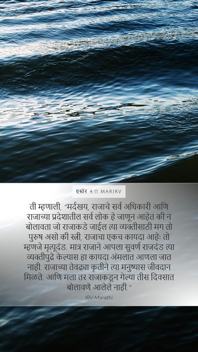 एस्तेर 4:11 MARIRV Bible Verse Image