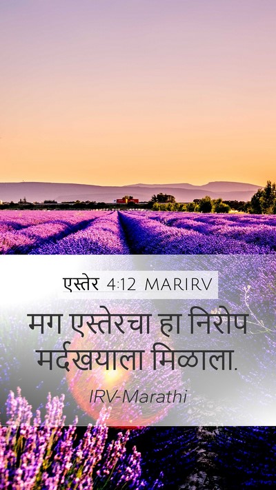 एस्तेर 4:12 MARIRV Mobile Phone Wallpaper - मग एस्तेरचा हा - Mobile Bible Verse Wallpaper