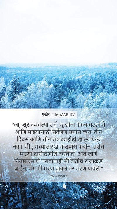 एस्तेर 4:16 MARIRV Bible Verse Image