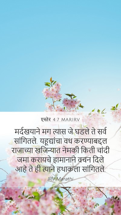 एस्तेर 4:7 MARIRV Bible Verse Image