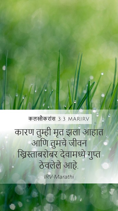 कलस्सैकरांस 3:3 MARIRV Bible Verse Image