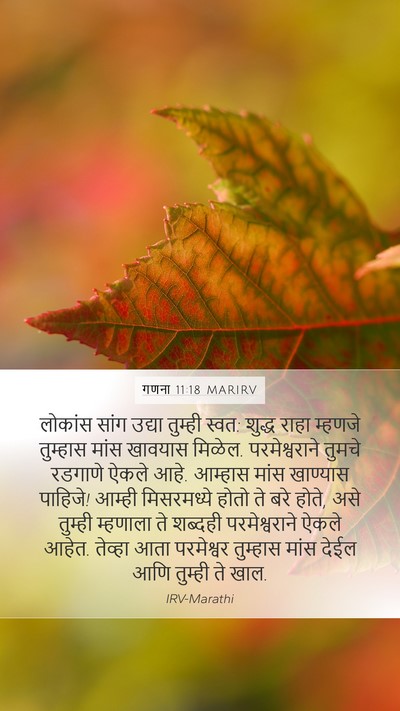 गणना 11:18 MARIRV Bible Verse Image