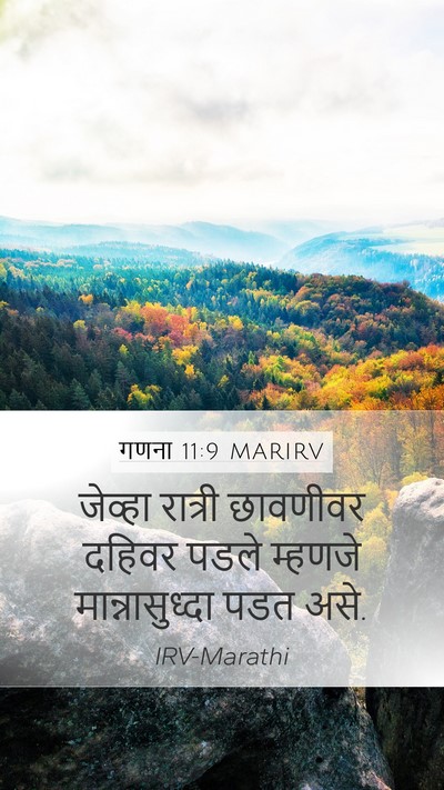 गणना 11:9 MARIRV Mobile Phone Wallpaper - जेव्हा रात्री - Mobile Bible Verse Wallpaper