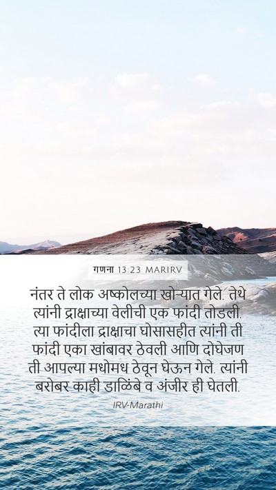 गणना 13:23 MARIRV Bible Verse Image