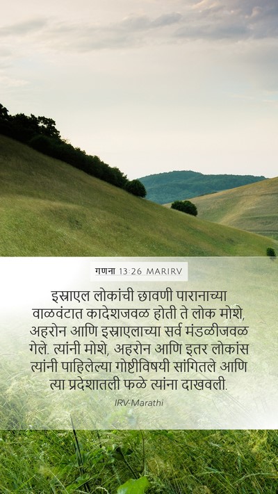 गणना 13:26 MARIRV Bible Verse Image