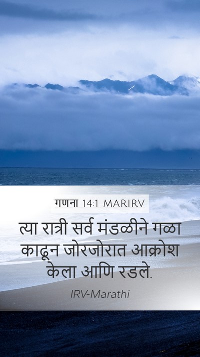 गणना 14:1 MARIRV Bible Verse Image